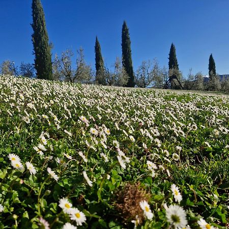 Agriturismo Val Della Pieve Anghiari Kültér fotó