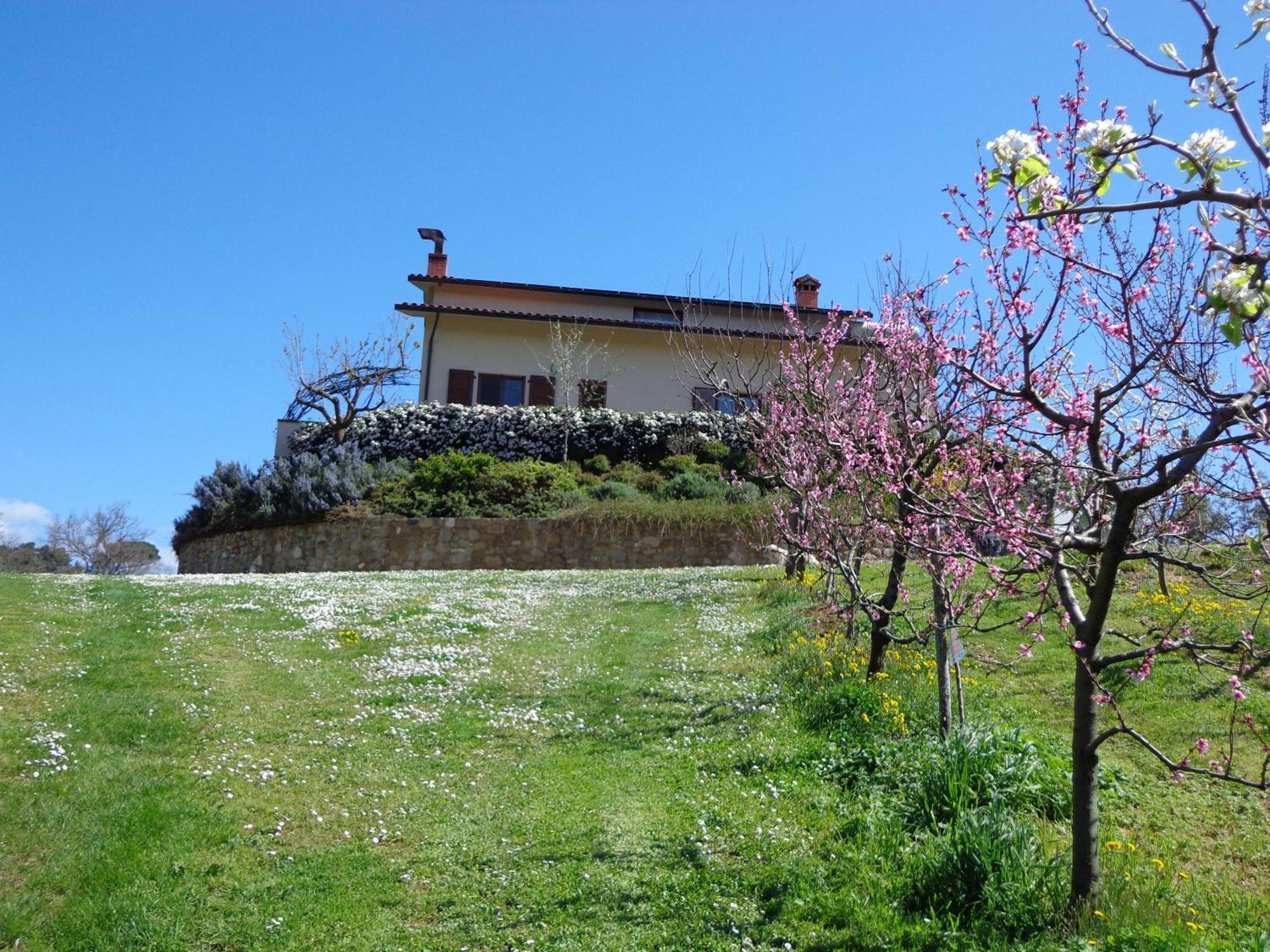Agriturismo Val Della Pieve Anghiari Kültér fotó
