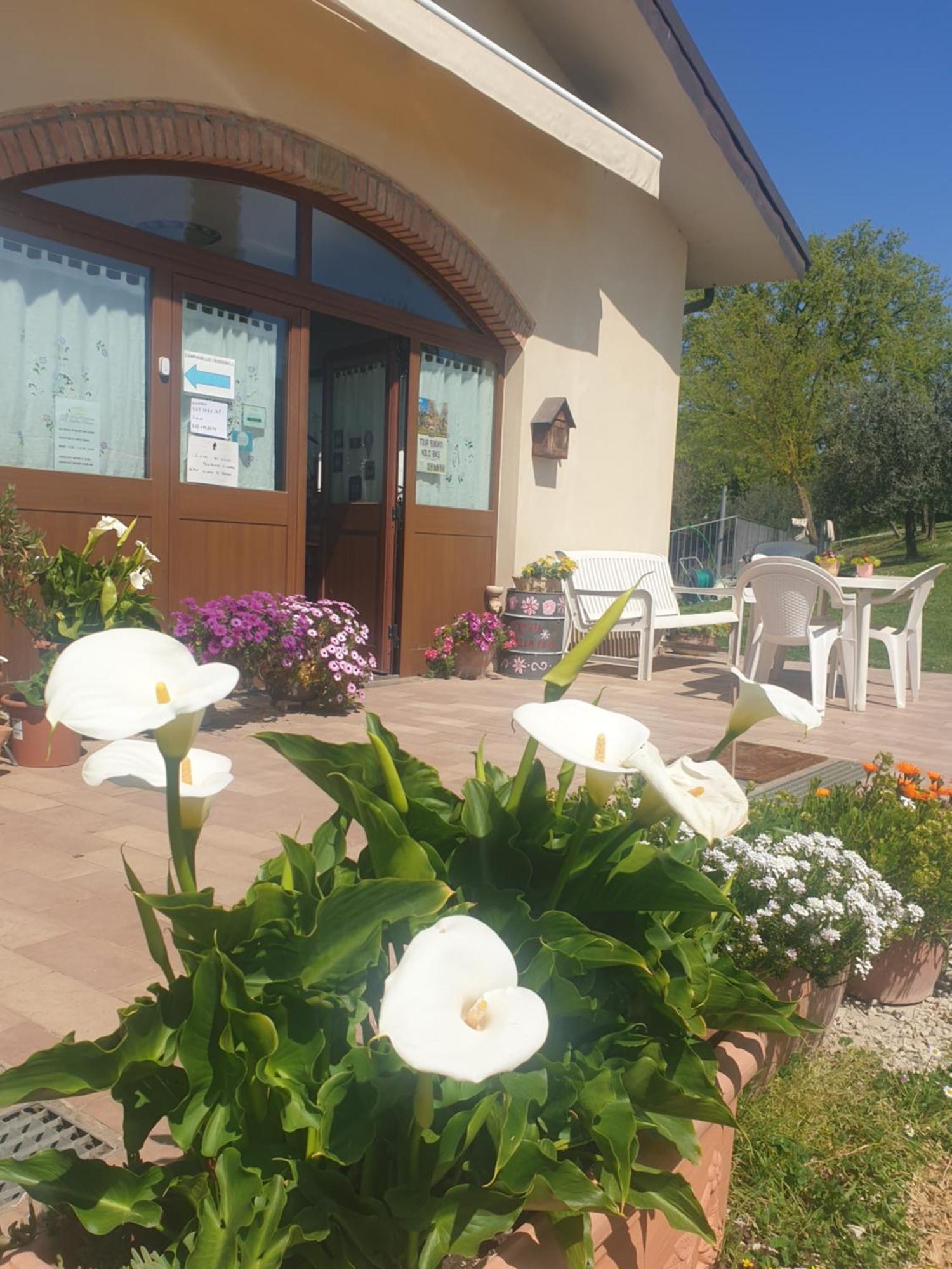 Agriturismo Val Della Pieve Anghiari Kültér fotó
