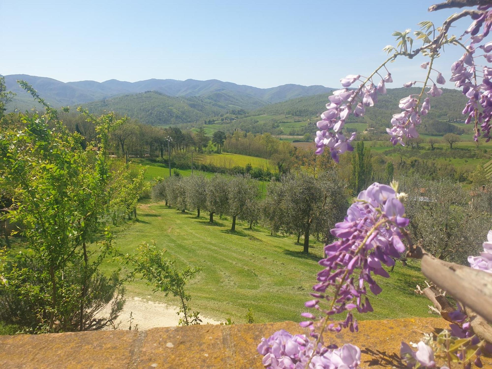 Agriturismo Val Della Pieve Anghiari Kültér fotó