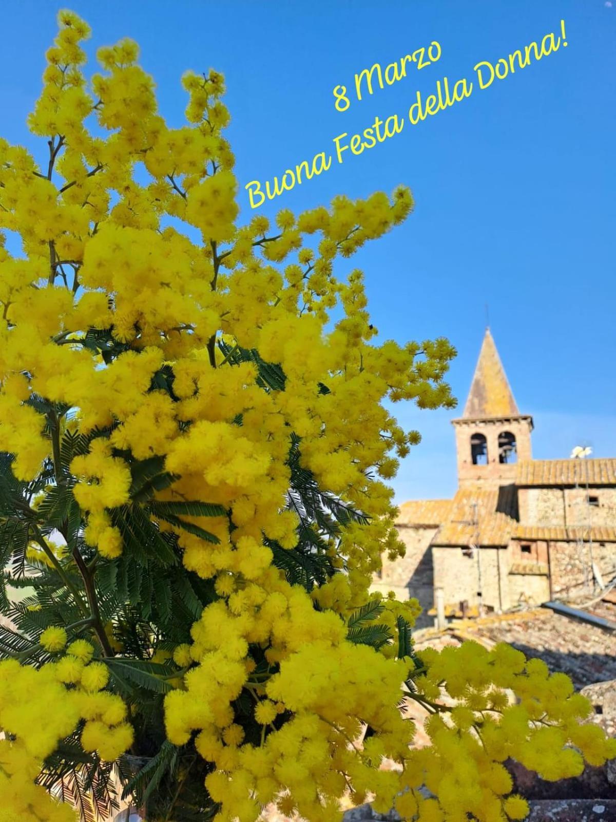 Agriturismo Val Della Pieve Anghiari Kültér fotó