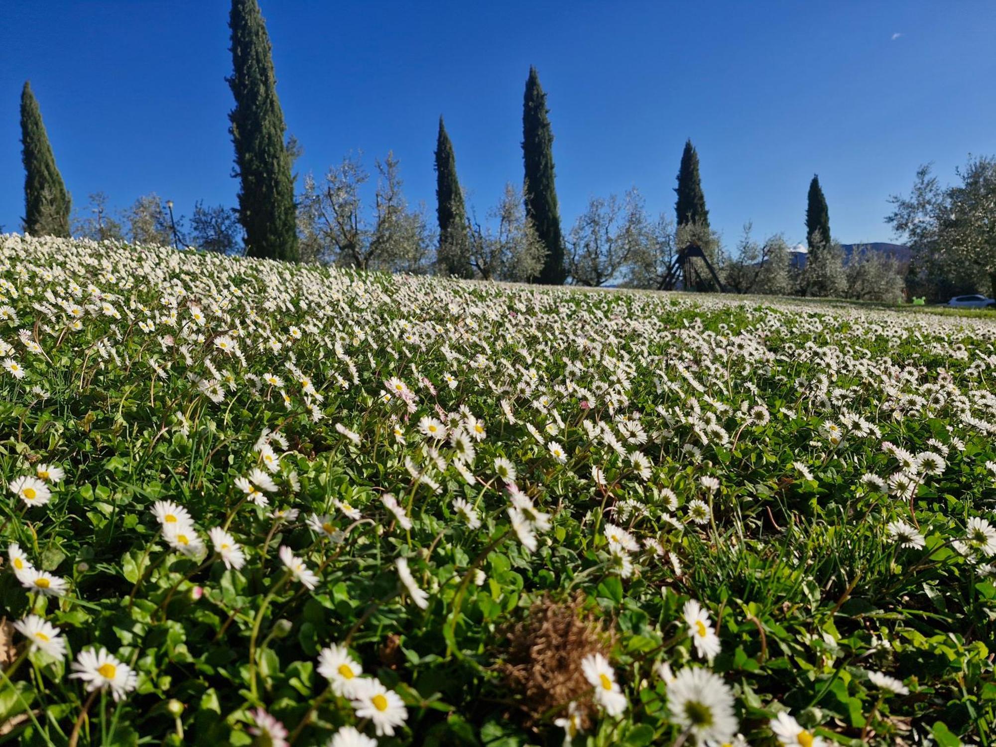 Agriturismo Val Della Pieve Anghiari Kültér fotó