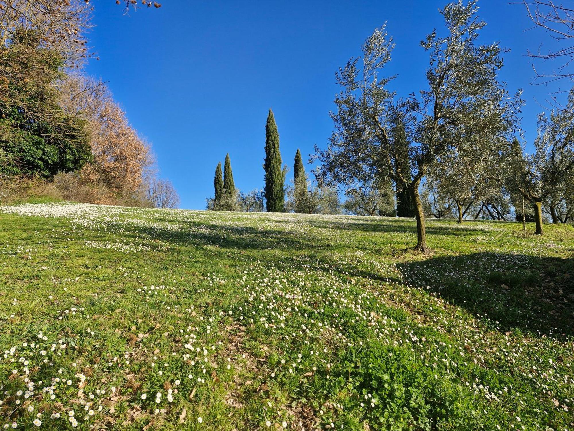 Agriturismo Val Della Pieve Anghiari Kültér fotó