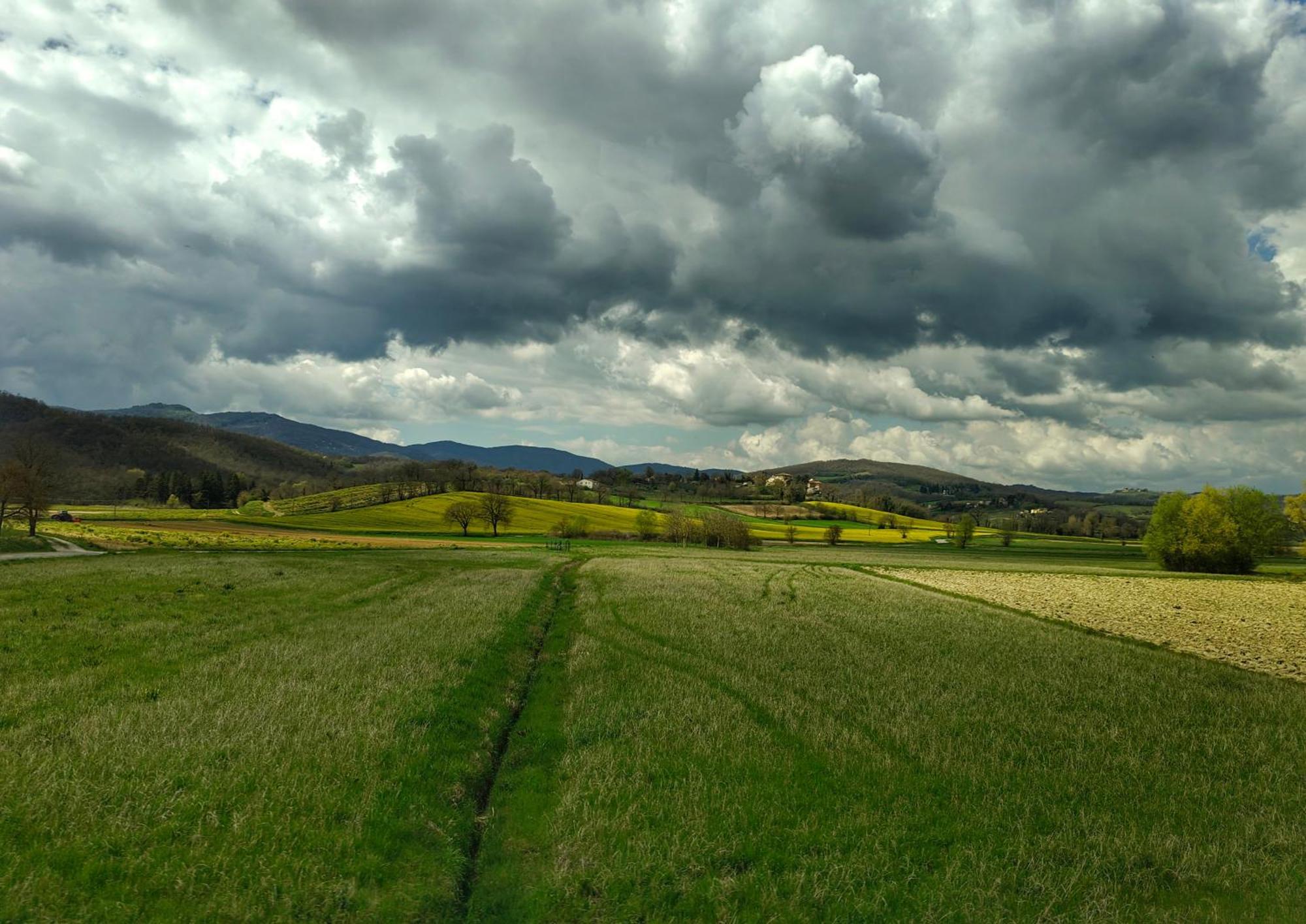 Agriturismo Val Della Pieve Anghiari Kültér fotó