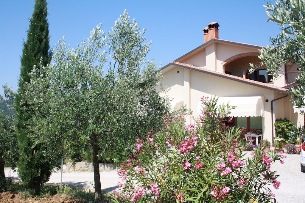Agriturismo Val Della Pieve Anghiari Kültér fotó
